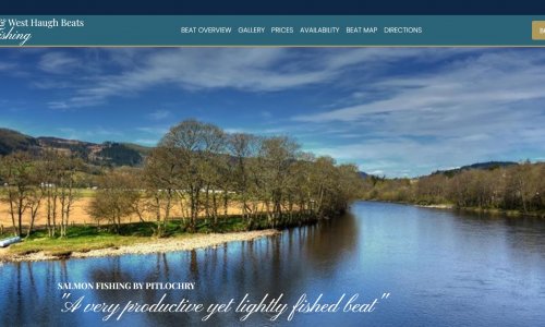 Dunfallandy & West Haugh Salmon Fishing